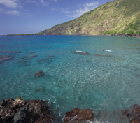 Kona